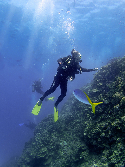 Diving on Great Barrier Reef Olympus Tough TG-1 with TCON lens adaptor