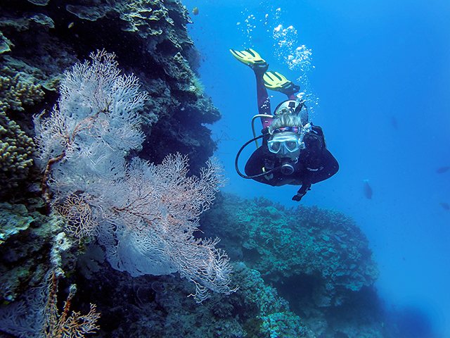 Diving on the Great Barrier Reef    Olympus TG-1 Tough