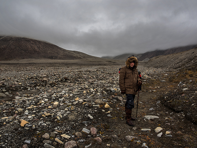 Fellow traveler on Ellesmere Island