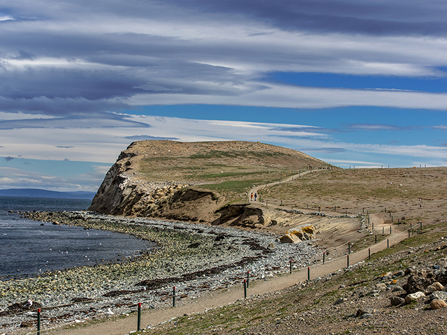 Isla Magdalena, Argentina