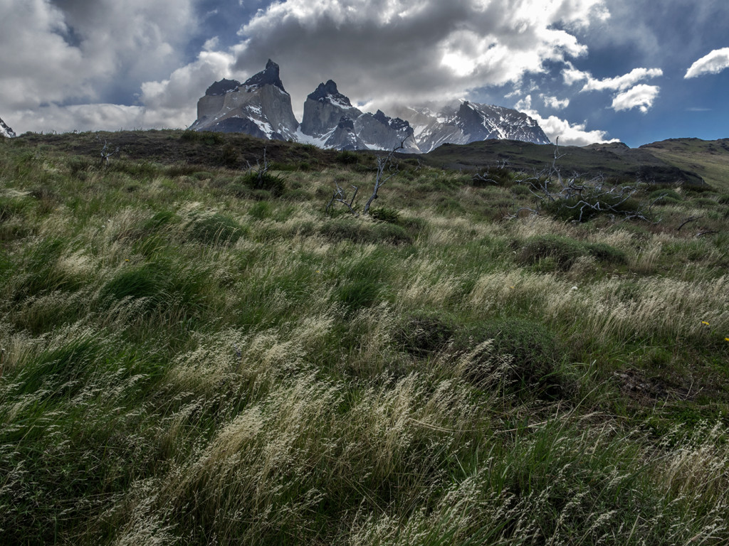 Torres del Paine Oly E-M1  12-40mm f2.8