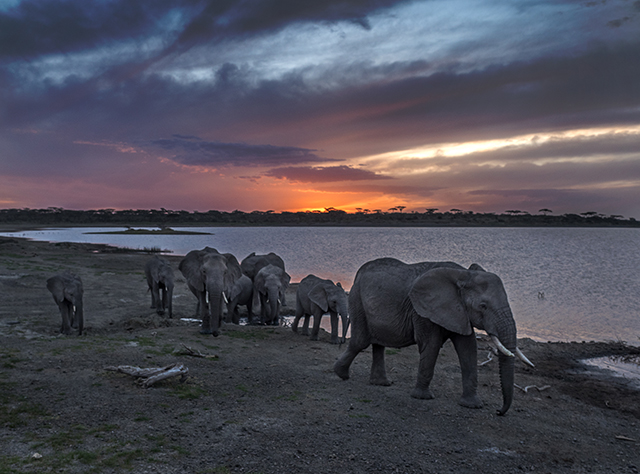 Dusk at watering hole   Oly E-M1 12-40mm f2.8