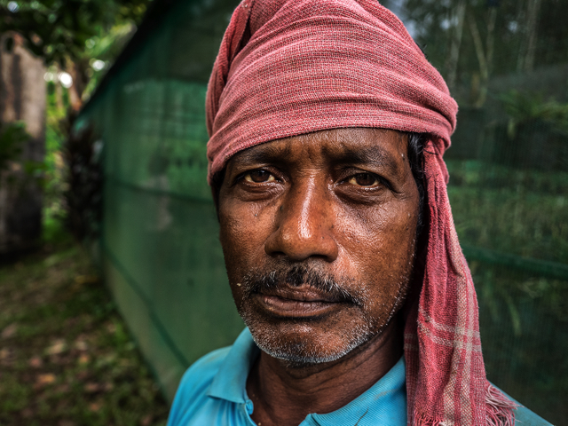 Orchidarium worker, Port Blair, Andaman Islands E-M1 12-40mm 