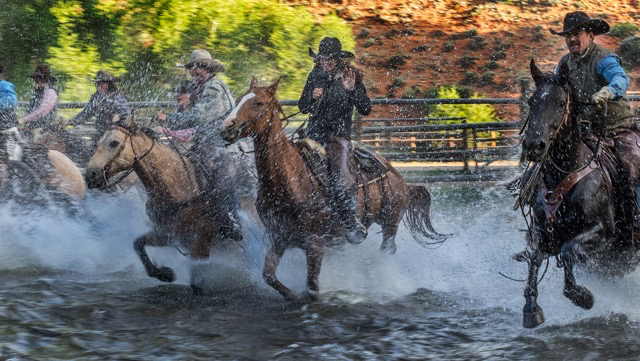 Wranglers driving horses across Jakey's Creek    Oly E-M1  40-150mm f2.8