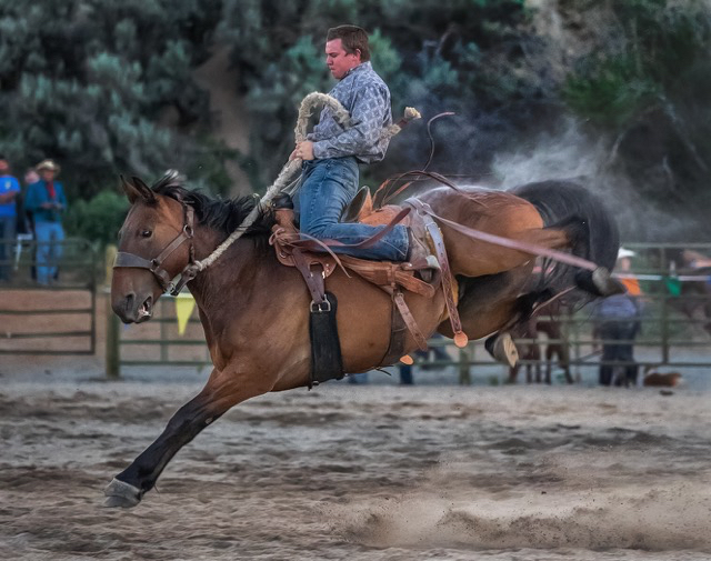 Friday night rodeo, Dubois   Oly E-M1 40-150mm f2.8