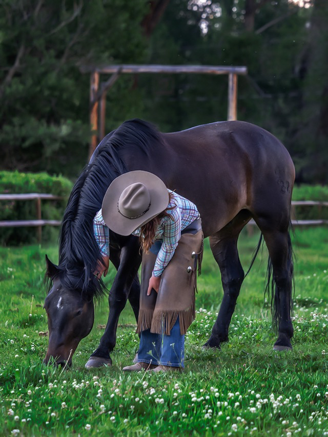 Afternoon in CM pasture    Oly E-M1  40-150mm f2.8