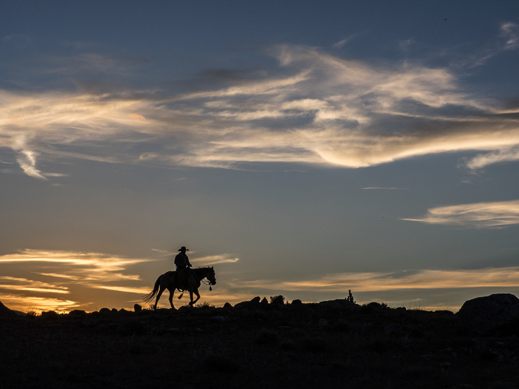 Afternoon at the CM Ranch