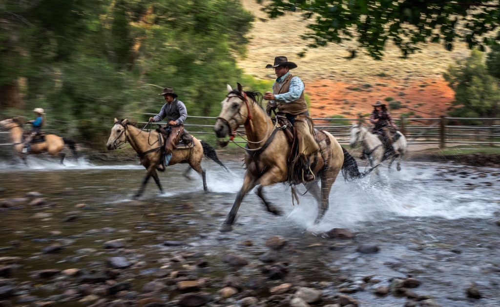 Horses driven across Jakey's Fork  Olympus E-M1 12-40 Pro lens