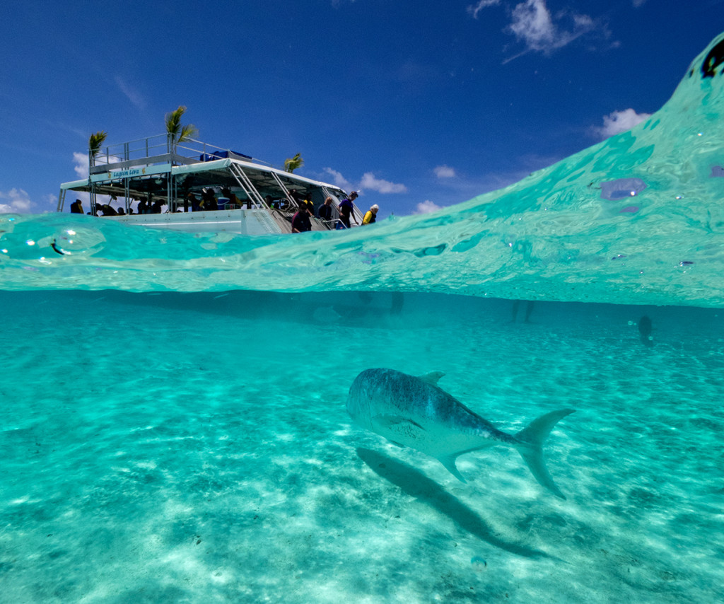 Aitutaki, Cook Islands. lagoon of the Island.