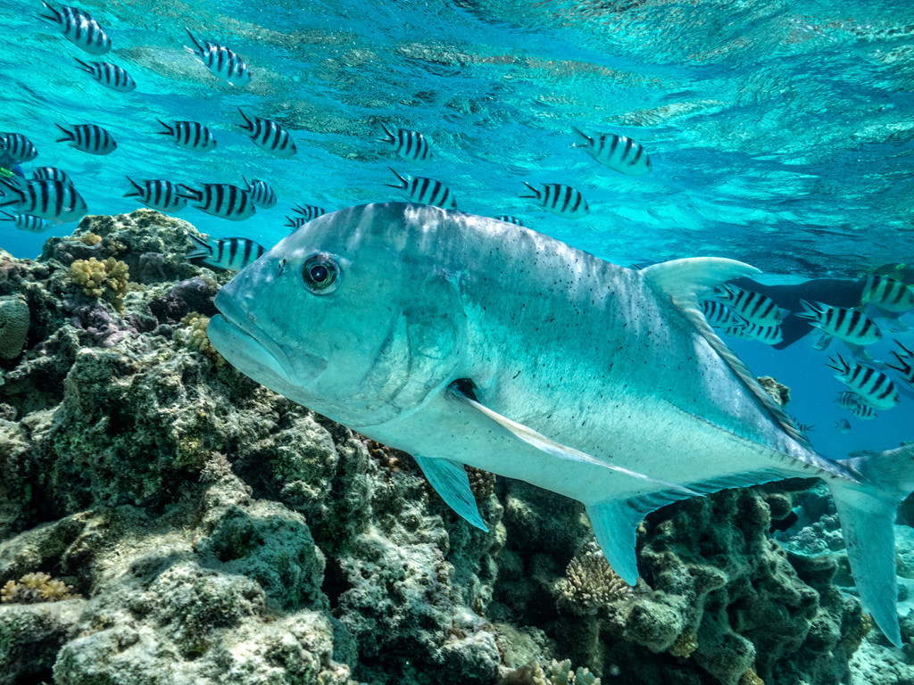 Aitutaki, Cook Islands. lagoon of the Island.