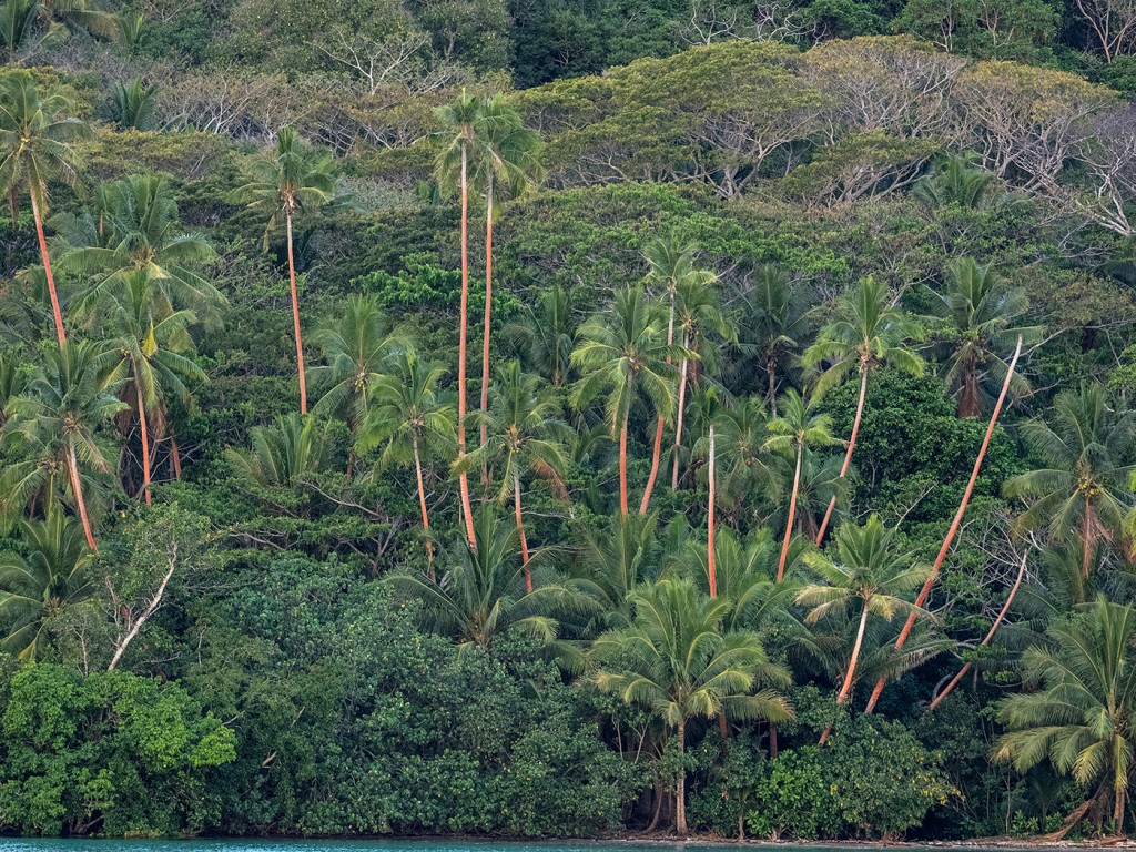 20151026_Fiji-Tahiti-Cook_0113F copy