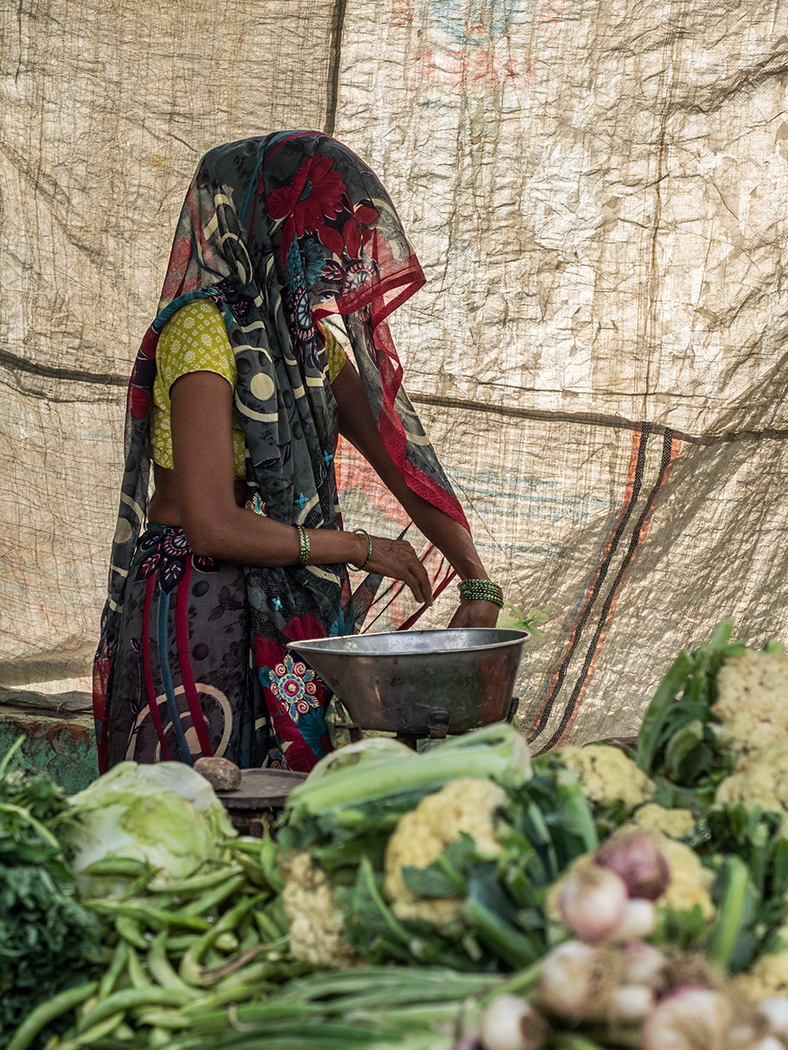 Near Agra, India, the village of Kachhpura