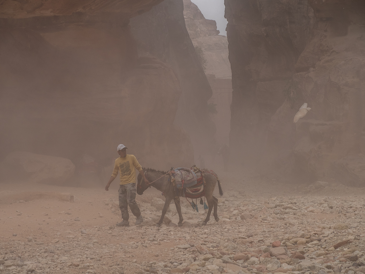 Petra, Jordan-sandstorm around the Treasury