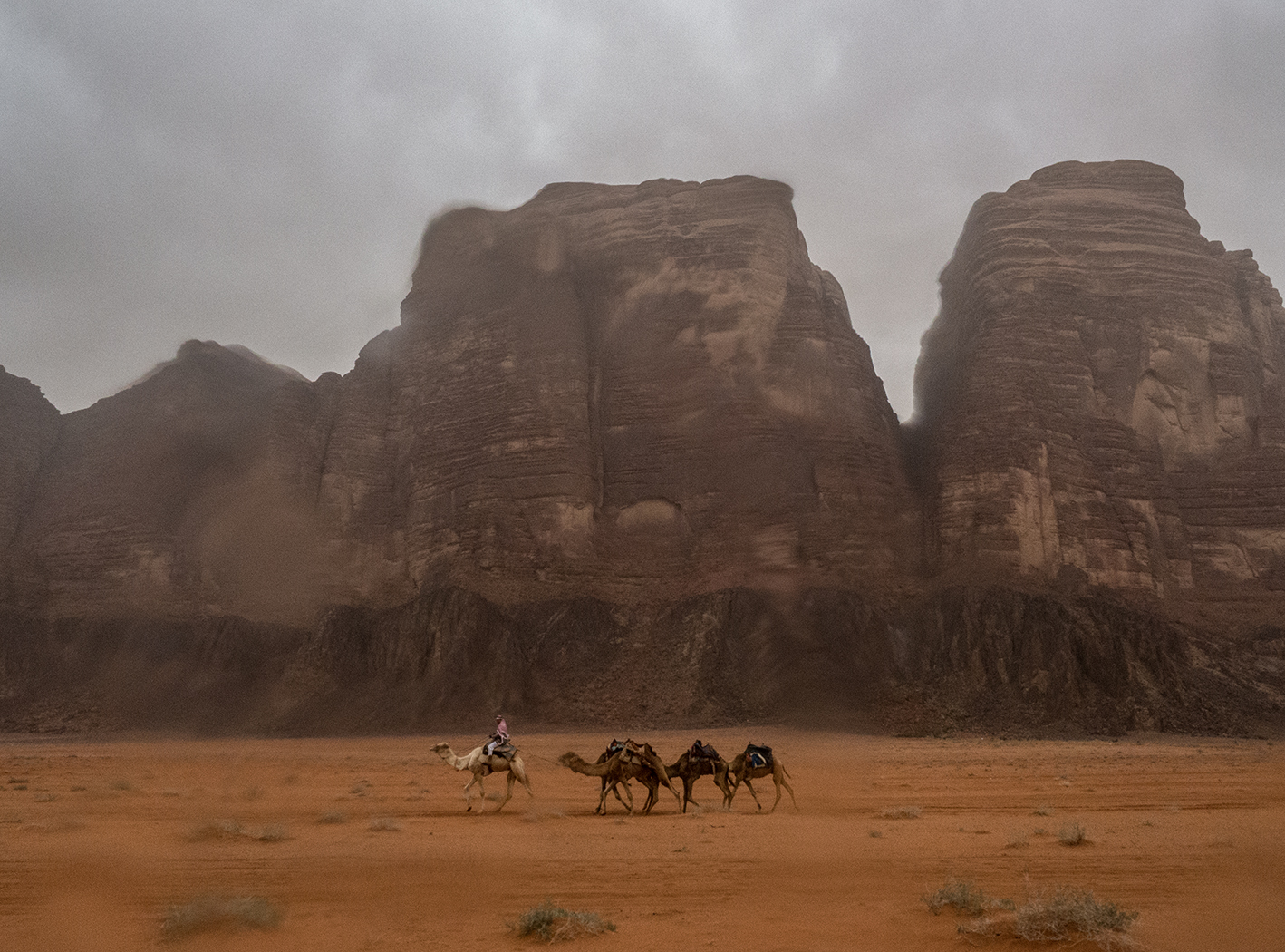 Camel train in Wadi Rum, Jordan