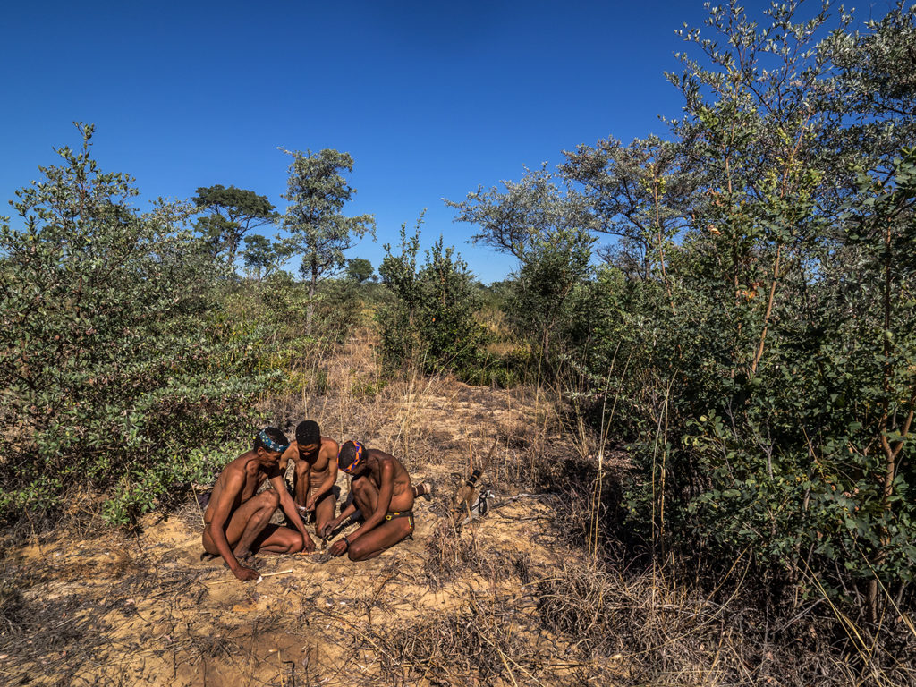 Hunting with Bushman E-M1 12-40mm f2.8