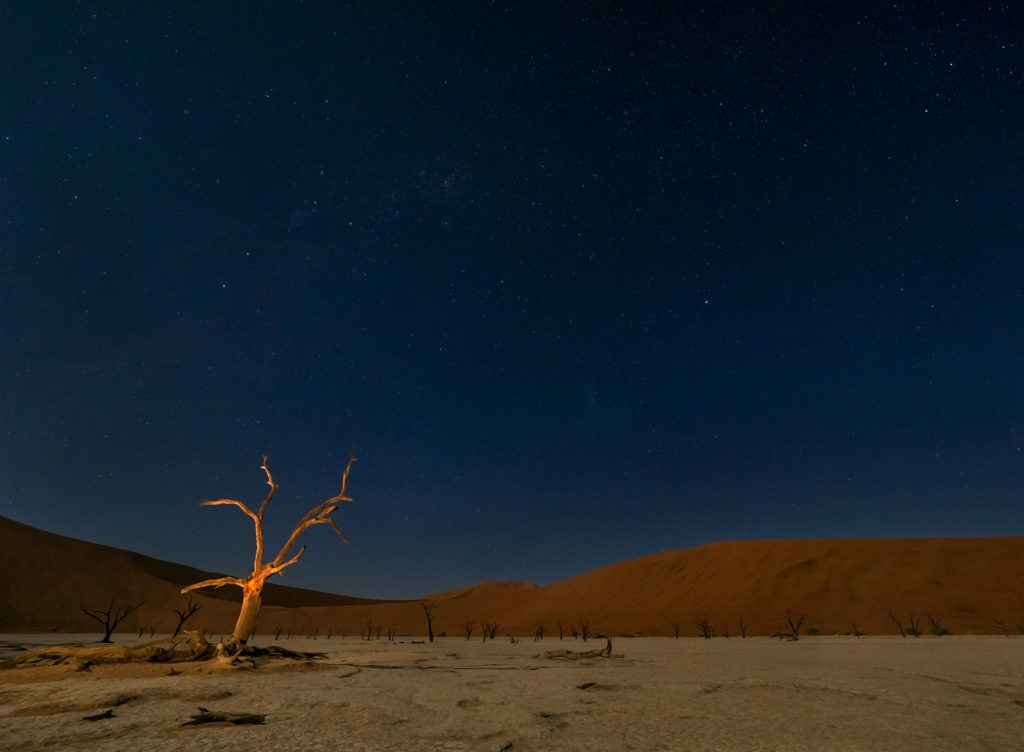 Deadvlei in Namib-Naukluft Park E-M1 7-14mm f2.8