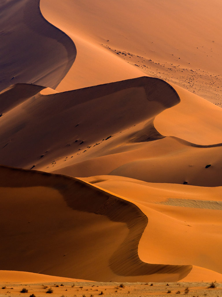 Sossusvlei in the Namib Desert. E-M1 300mm f4