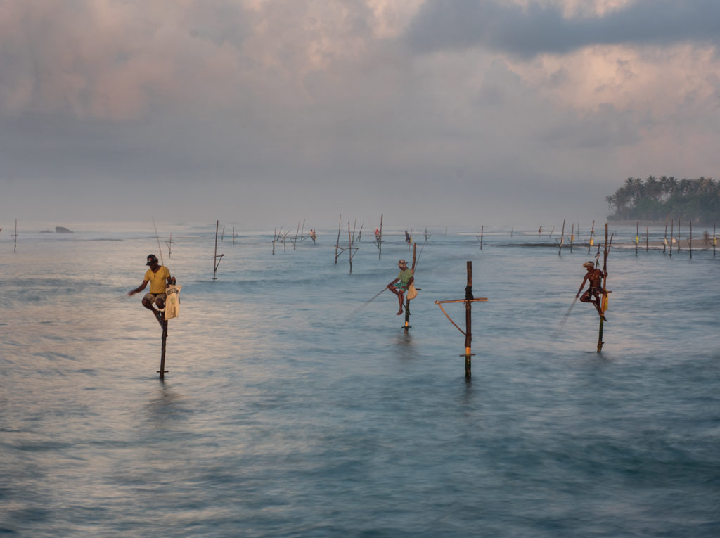 Sri Lankan stilt fishermen
