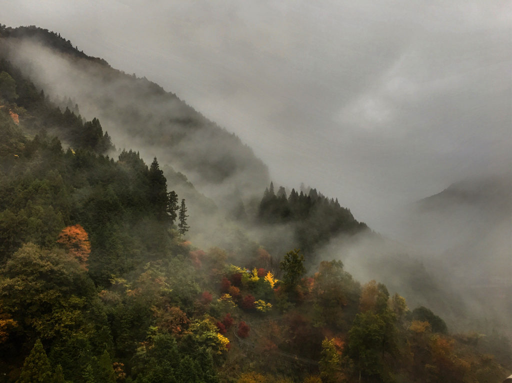 Iya Valley, Japan E-M1 12-40mm f2.8